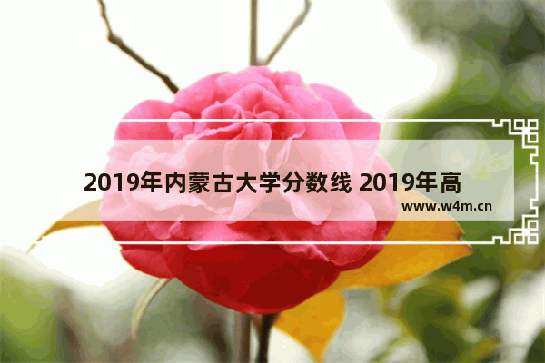 2019年内蒙古大学分数线 2019年高考分数线内蒙