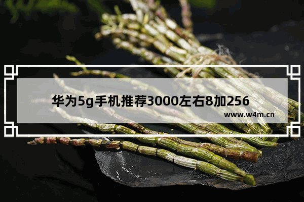 华为5g手机推荐3000左右8加256 华为两千多元左右手机推荐