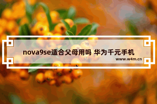 nova9se适合父母用吗 华为千元手机推荐父母