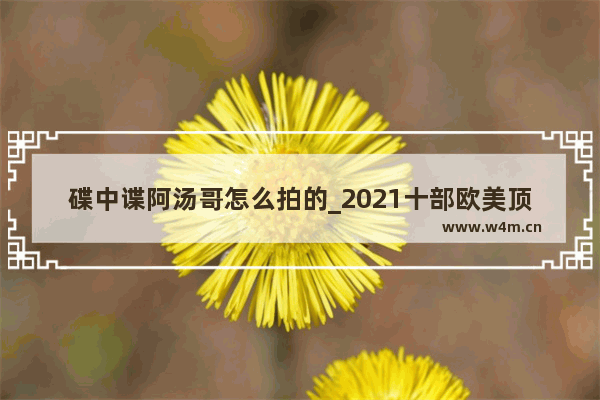 碟中谍阿汤哥怎么拍的_2021十部欧美顶级电影