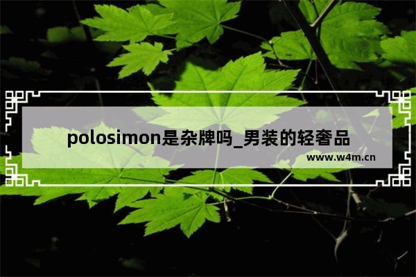 polosimon是杂牌吗_男装的轻奢品牌