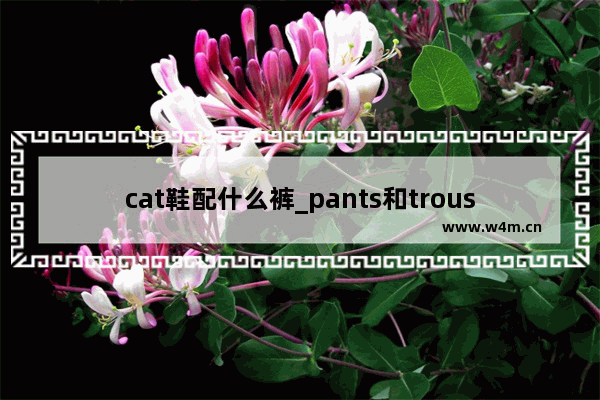 cat鞋配什么裤_pants和trousers有什么区别