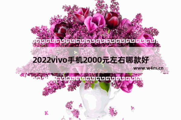 2022vivo手机2000元左右哪款好 两千元左右手机推荐女生