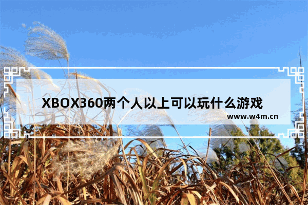 XBOX360两个人以上可以玩什么游戏 好玩的小游戏推荐女生多人玩