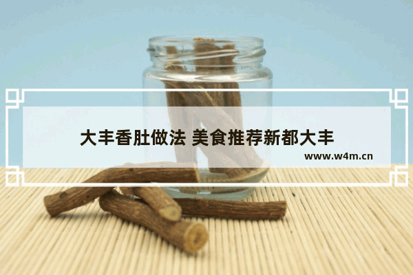 大丰香肚做法 美食推荐新都大丰