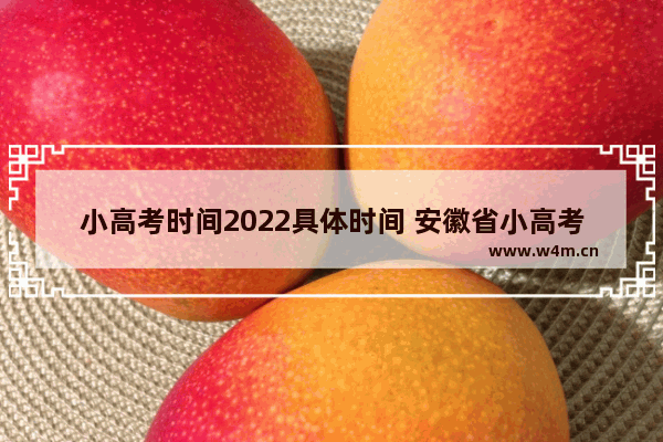 小高考时间2022具体时间 安徽省小高考分数线