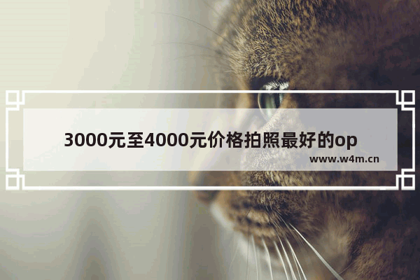 3000元至4000元价格拍照最好的oppo手机型号 四千块钱手机推荐哪款