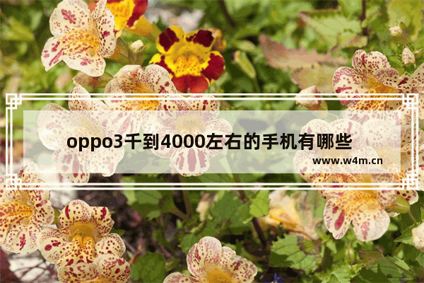 oppo3千到4000左右的手机有哪些 四千左右手机推荐