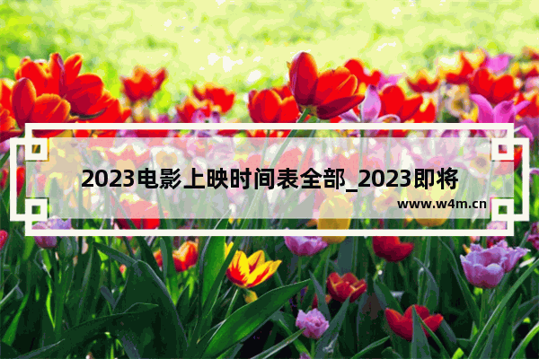 2023电影上映时间表全部_2023即将上映的3d电影有哪些