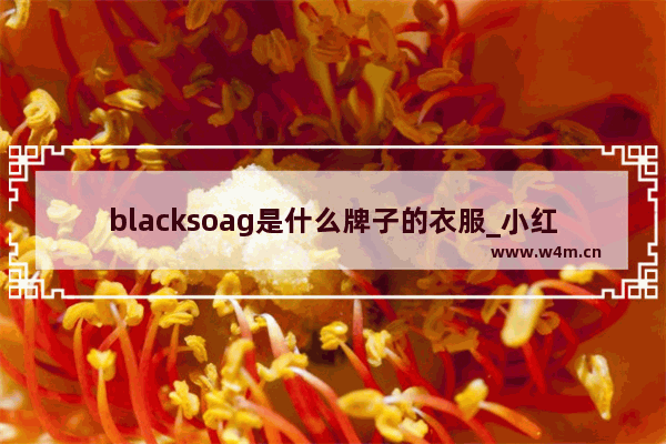 blacksoag是什么牌子的衣服_小红书穿搭标题怎么写