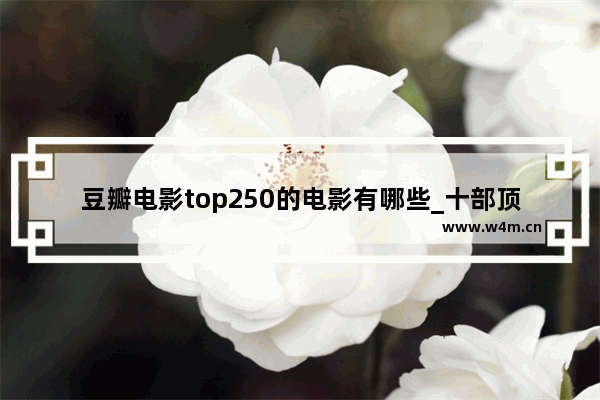 豆瓣电影top250的电影有哪些_十部顶级无限循环电影