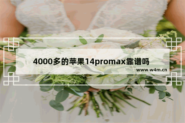 4000多的苹果14promax靠谱吗 四千左右苹果手机推荐最新