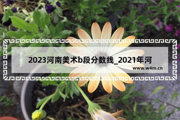 2023河南美术b段分数线_2021年河南美术分数线