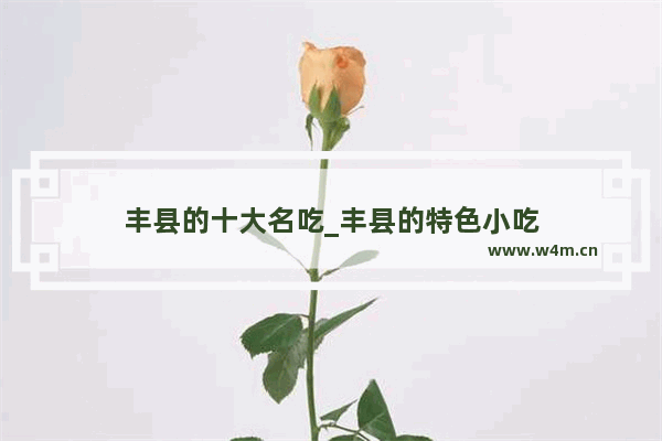 丰县的十大名吃_丰县的特色小吃