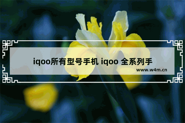 iqoo所有型号手机 iqoo 全系列手机推荐