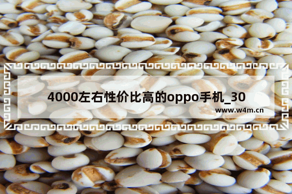 4000左右性价比高的oppo手机_3000元至4000元价格拍照最好的oppo手机型号