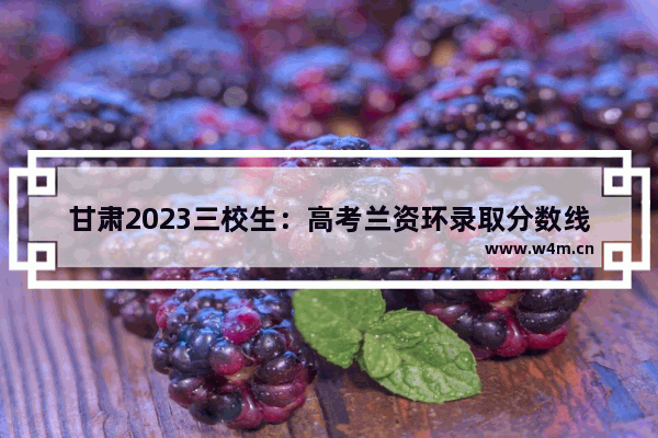 甘肃2023三校生：高考兰资环录取分数线_三校生参加普通高考可以报考哪些学校