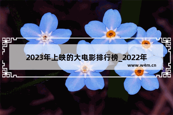 2023年上映的大电影排行榜_2022年票房最高的十部电影