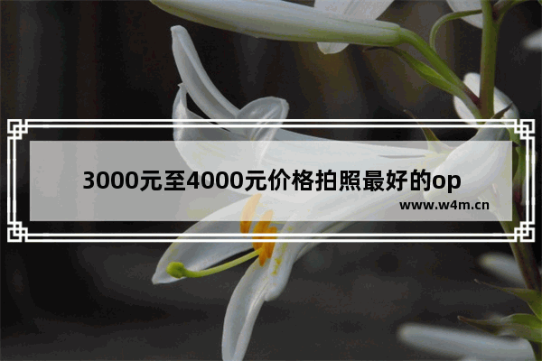 3000元至4000元价格拍照最好的oppo手机型号 三千元到四千元手机推荐