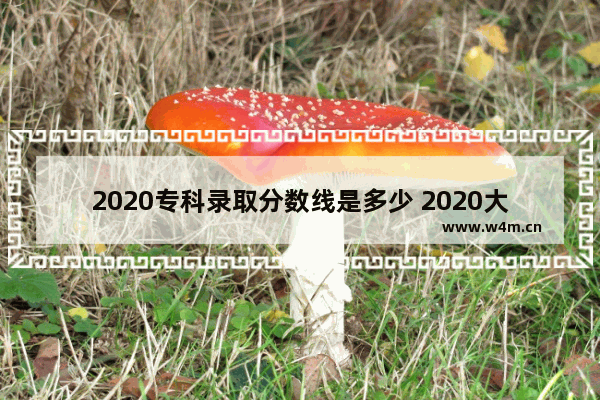 2020专科录取分数线是多少 2020大专高考分数线