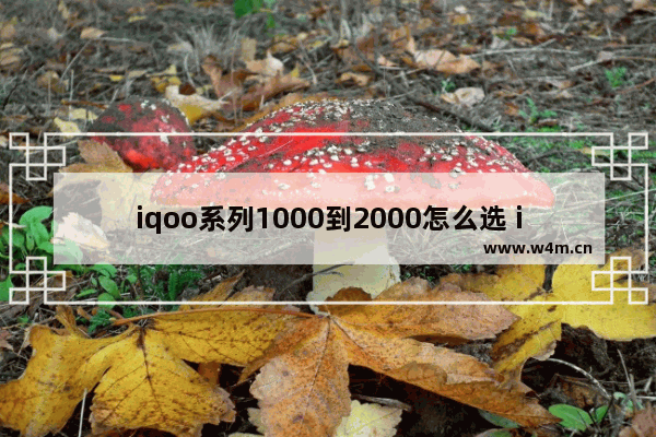 iqoo系列1000到2000怎么选 iqoo各系列各价位手机推荐