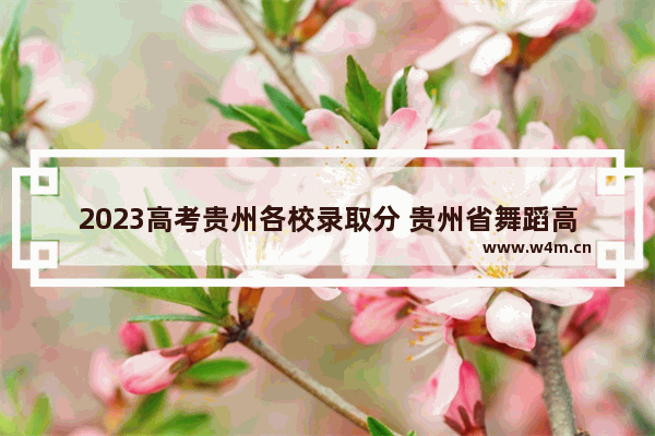 2023高考贵州各校录取分 贵州省舞蹈高考分数线