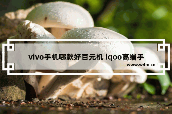 vivo手机哪款好百元机 iqoo高端手机推荐百元