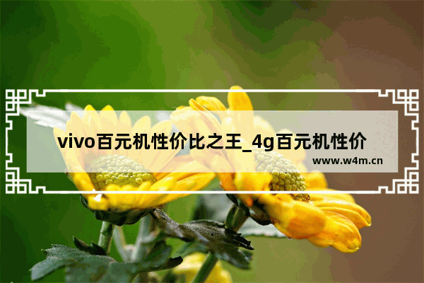 vivo百元机性价比之王_4g百元机性价比高配置