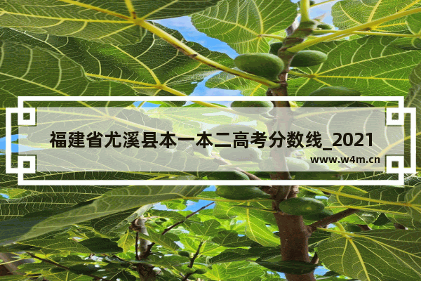 福建省尤溪县本一本二高考分数线_2021年三明市实验中学招生简章