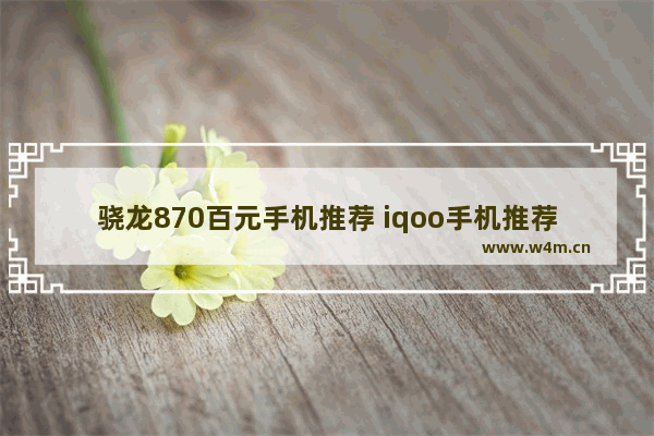 骁龙870百元手机推荐 iqoo手机推荐百元以下