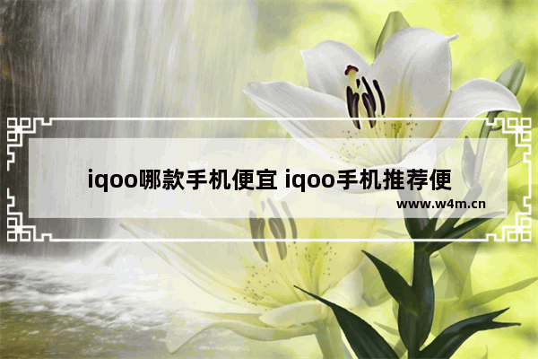 iqoo哪款手机便宜 iqoo手机推荐便宜好用