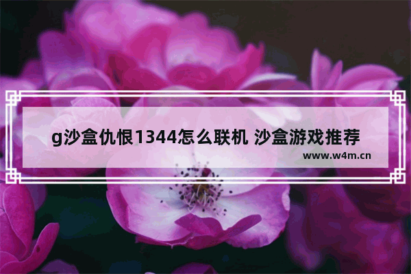 g沙盒仇恨1344怎么联机 沙盒游戏推荐联机女生