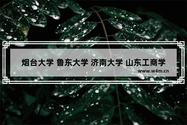 烟台大学 鲁东大学 济南大学 山东工商学院 最近几年的录取分数线 山东烟台大学高考分数线