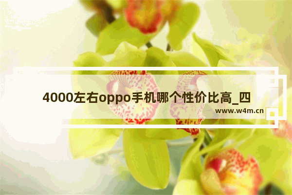 4000左右oppo手机哪个性价比高_四千元手机推荐双十一