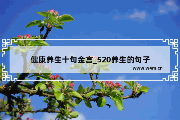 健康养生十句金言_520养生的句子