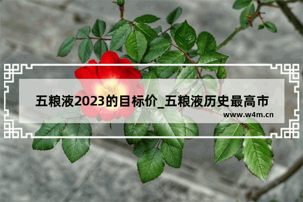 五粮液2023的目标价_五粮液历史最高市盈率