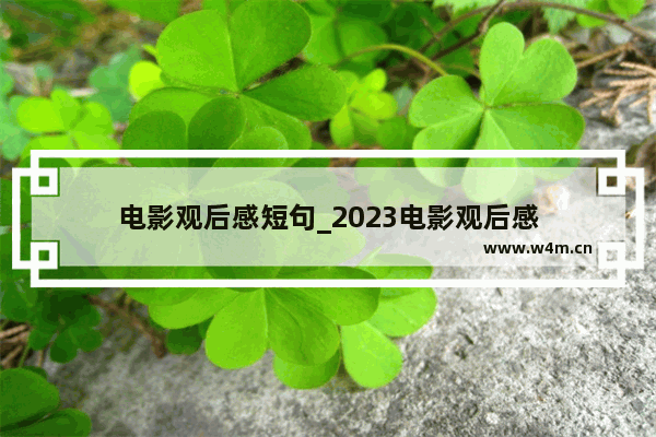 电影观后感短句_2023电影观后感