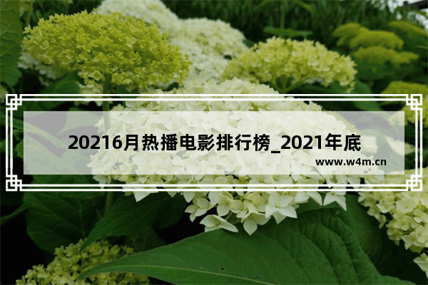 20216月热播电影排行榜_2021年底热播电影