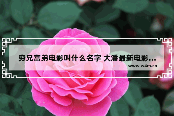 穷兄富弟电影叫什么名字 大潘最新电影名字叫什么