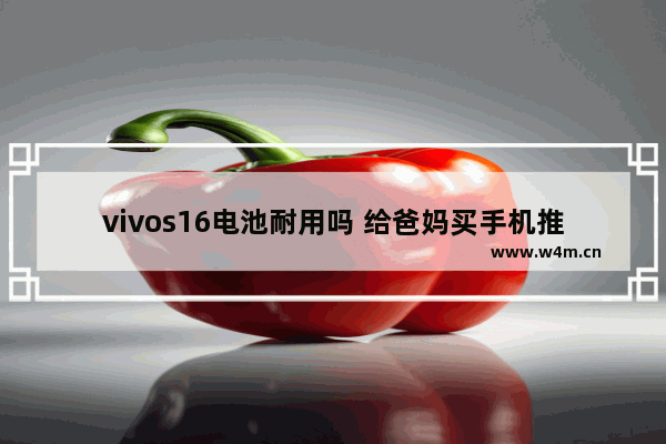 vivos16电池耐用吗 给爸妈买手机推荐vivo充电快耐用