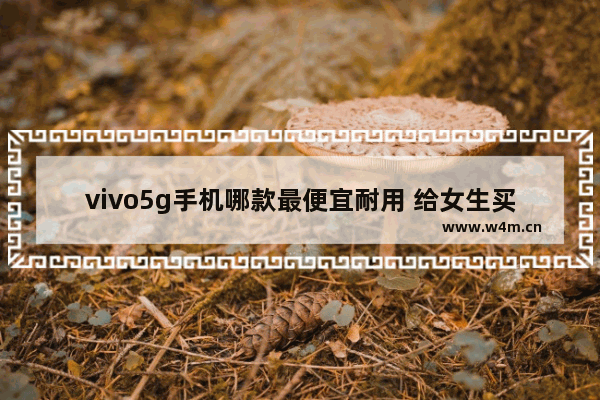 vivo5g手机哪款最便宜耐用 给女生买手机推荐vivo