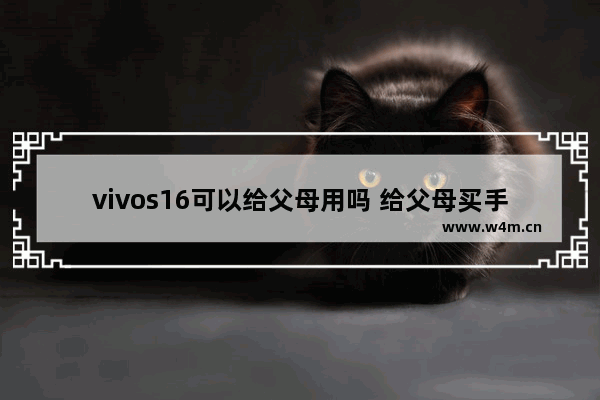 vivos16可以给父母用吗 给父母买手机推荐百元机vivo