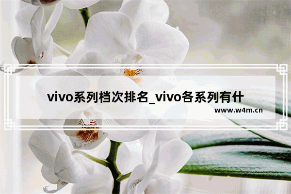 vivo系列档次排名_vivo各系列有什么区别