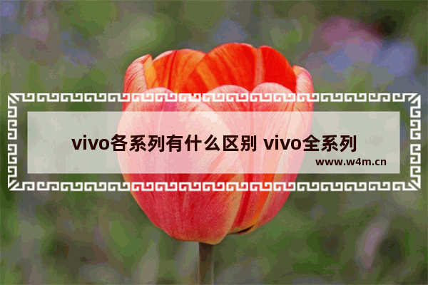 vivo各系列有什么区别 vivo全系列手机推荐