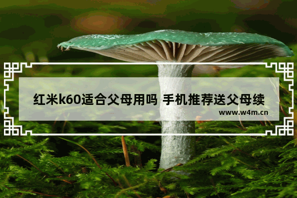 红米k60适合父母用吗 手机推荐送父母续航高智能机