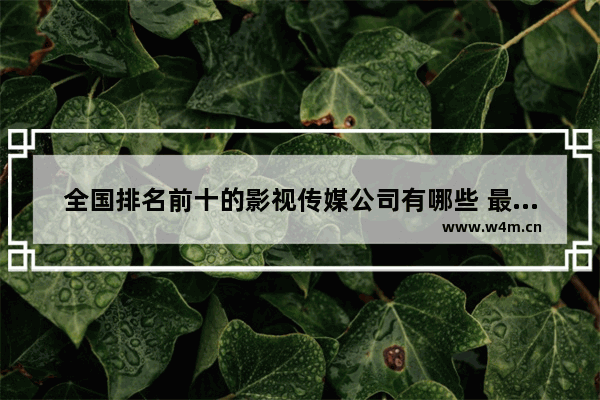 全国排名前十的影视传媒公司有哪些 最新电影连续剧排行榜前十名有哪些