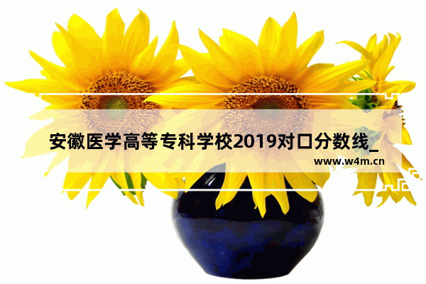 安徽医学高等专科学校2019对口分数线_2019中考安徽最高分