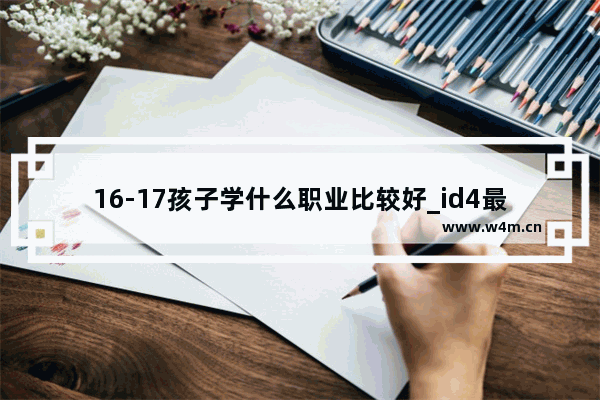 16-17孩子学什么职业比较好_id4最低配落地价