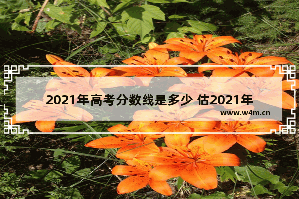 2021年高考分数线是多少 估2021年高考分数线