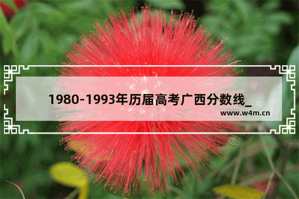 1980-1993年历届高考广西分数线_广西高考595分是什么水平